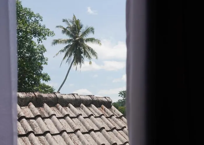 The Apuan * Sidemen (Bali)