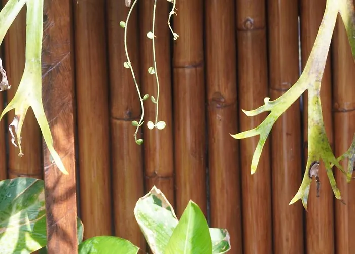 Pensión The Apuan